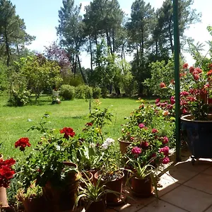 https://domaine-du-planas-patio.hotels-rhonealpes.com